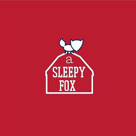 بيت شباب A Sleepy Fox نيودلهي المظهر الخارجي الصورة