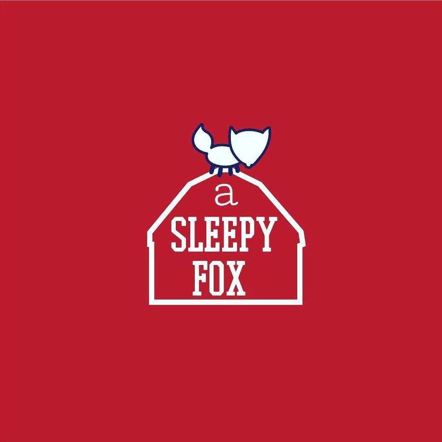بيت شباب A Sleepy Fox نيودلهي المظهر الخارجي الصورة