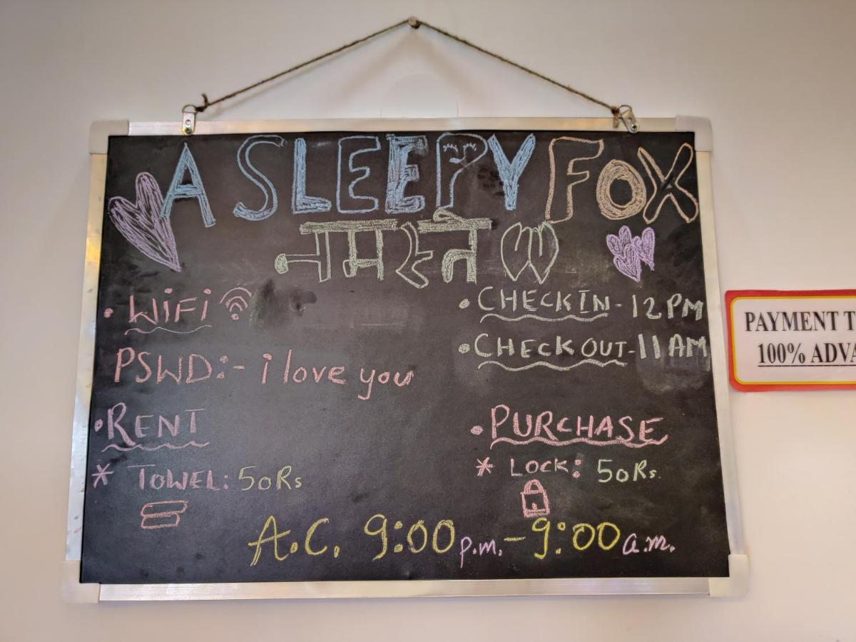 بيت شباب A Sleepy Fox نيودلهي المظهر الخارجي الصورة